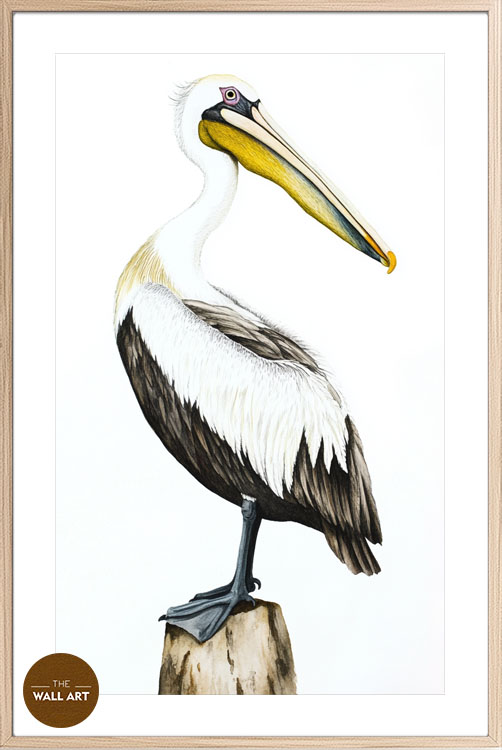 images/products/yellow_beack_pelican/yellow_beack pelican_OAK_PWB.jpg